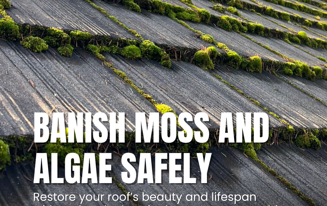Roof Cleaning in Olympia, WA: Why Moss Is Destroying Your Roof Faster Than You Think
