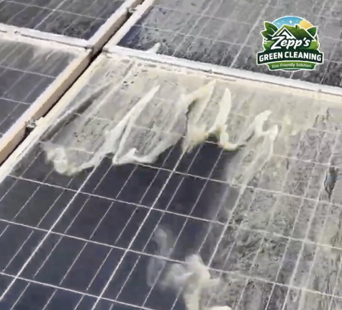 Solar Panel Cleaning in Olympia, WA